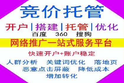 百度竞价广告投放全解析：成功案例揭秘