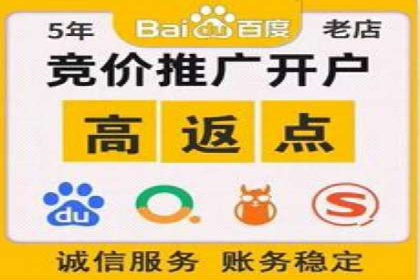案例分析：托管SEM竞价助力电商旺季促销